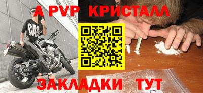 стаф Кингисепп