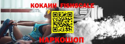 стаф Кингисепп