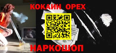 стаф Кингисепп