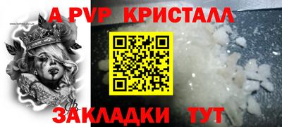 стаф Кингисепп