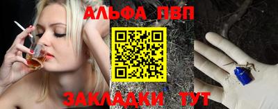 стаф Кингисепп